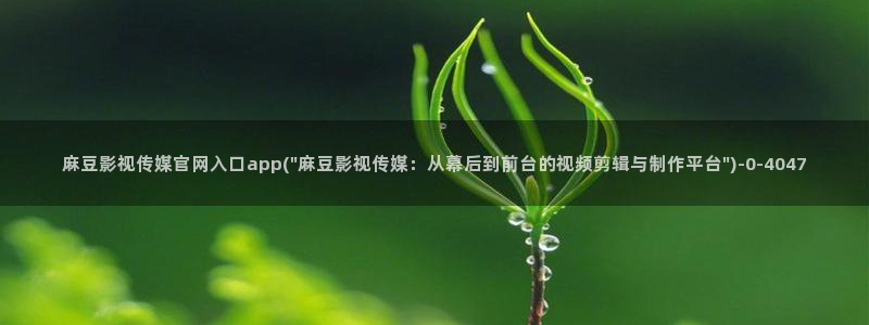 麻豆传媒印画官网:麻豆影视传媒官网入口app(\