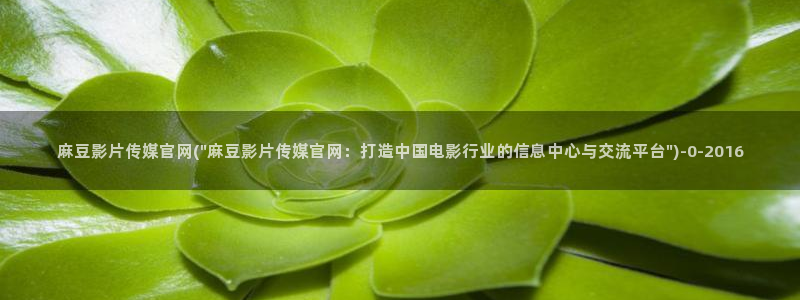 麻豆床传媒官网应聘:麻豆影片传媒官网(\